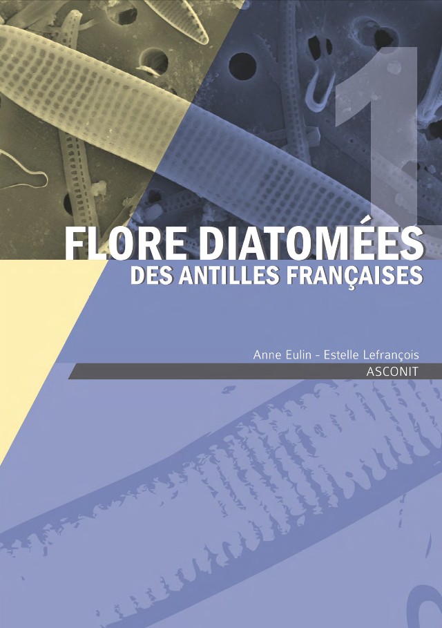 Flore diatomées des Antilles françaises - Volume 1